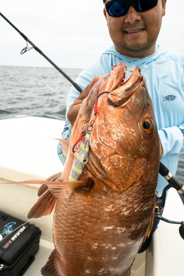 panama fishing reports season