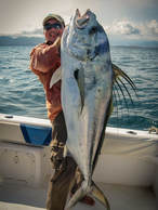 best place to catch roosterfish