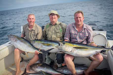 YFT, yellowfin tuna, surface lures, tuna coast