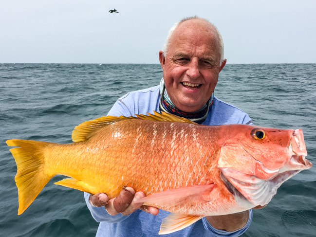 popping and jigging