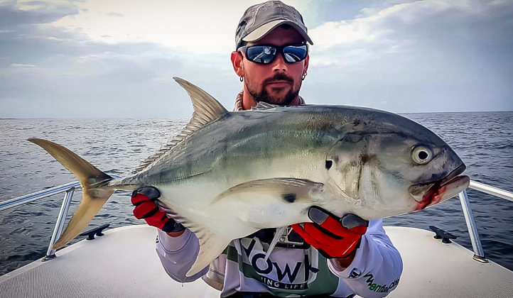 fish panama