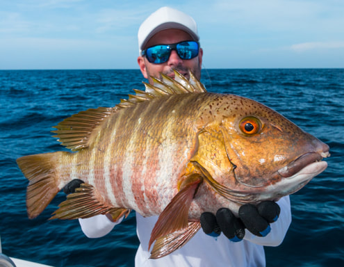 jigging and popping panama