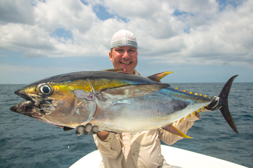 jigging panama popping lodge