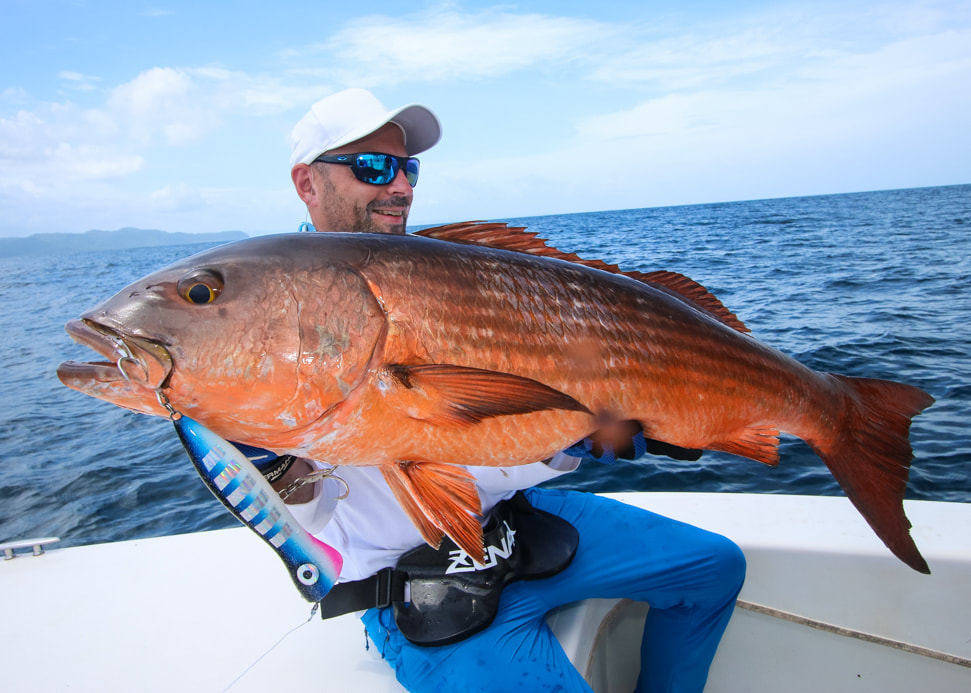popping jigging panama lodge