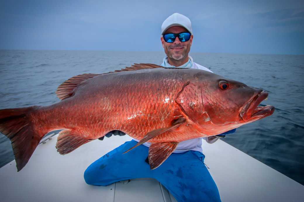 panama best season for cubera