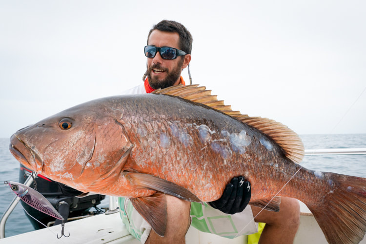 popper fishing panama