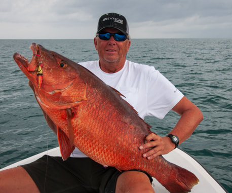 popping and jigging panama