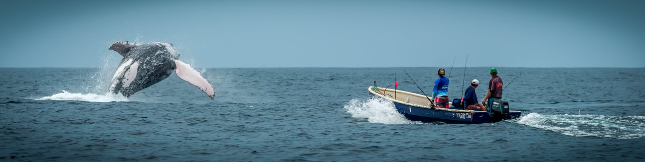 panama fishing seasons