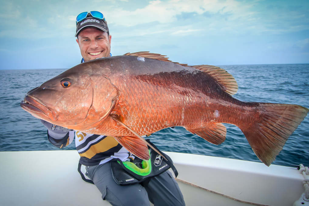 panama inshore reports