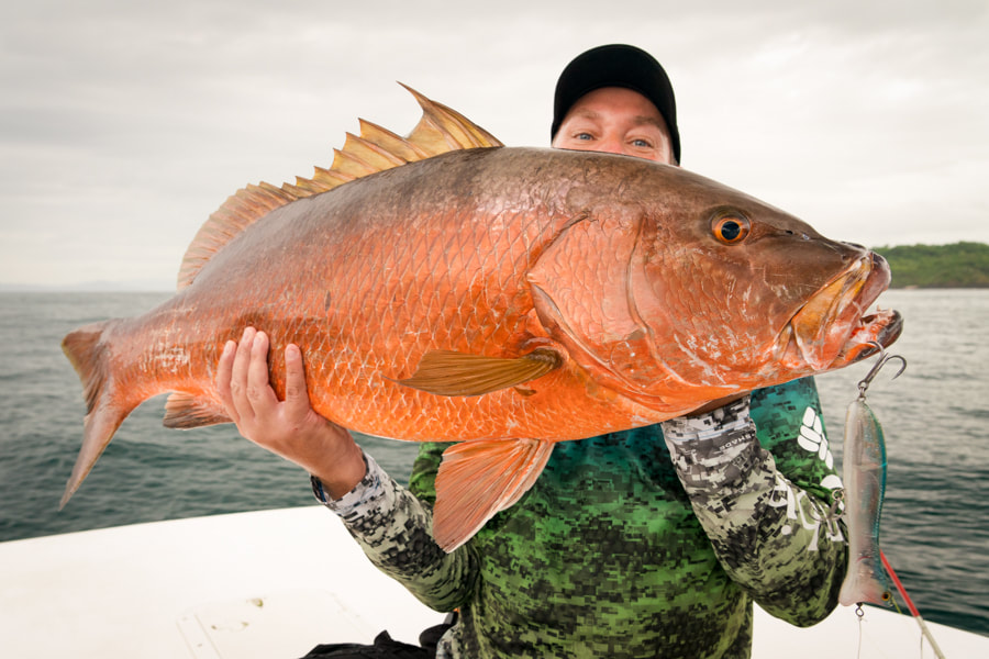panama paradise fishing