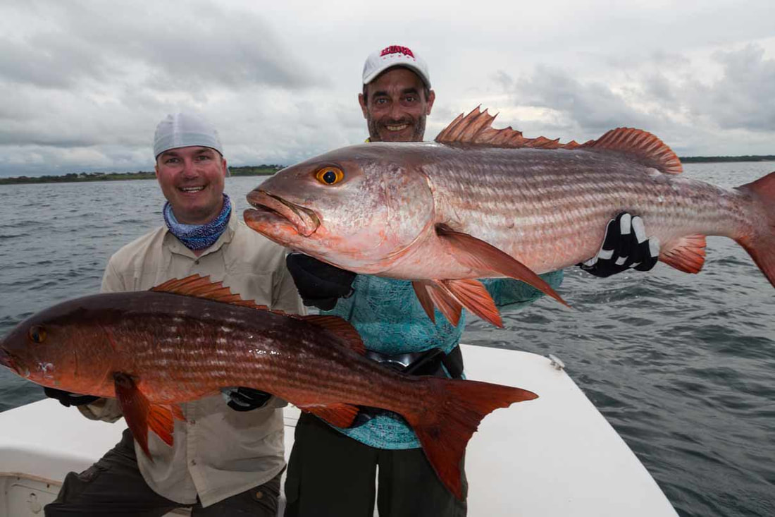 best fishing lodge panama