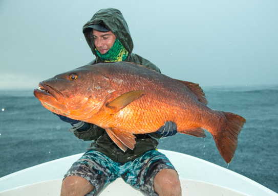 popping under the rain in panama