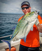 bluefin trevally panama fishing