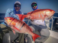 huge cubera snapper fishing