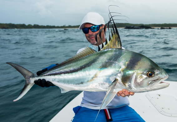 roosterfish fishing lodge