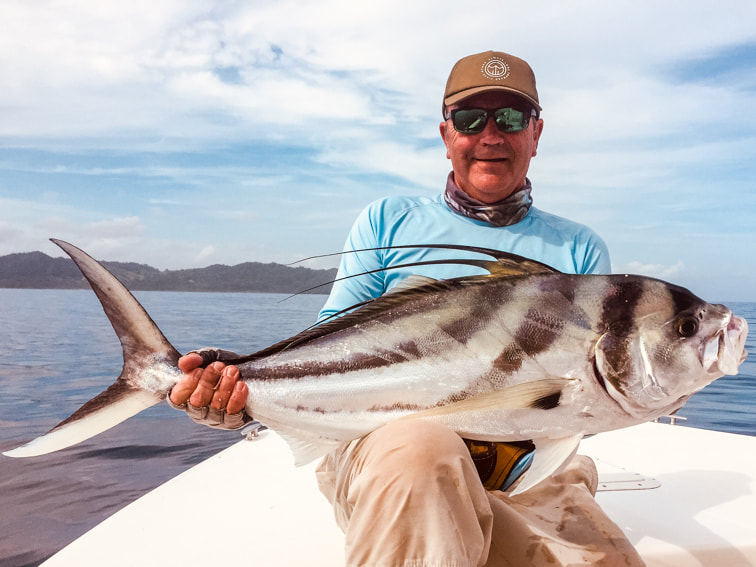 roosterfish panama