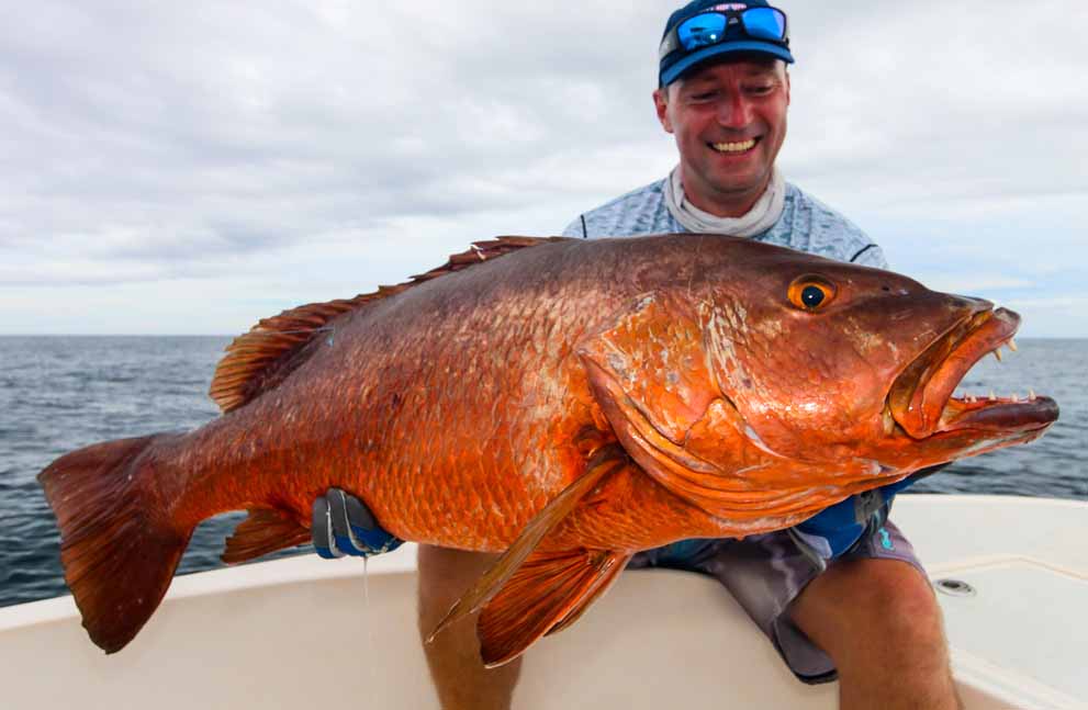 cubera snapper panama