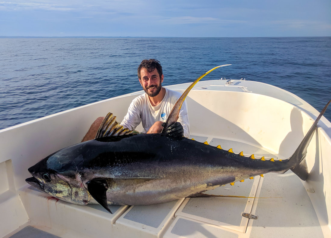 tuna panama popping lodge