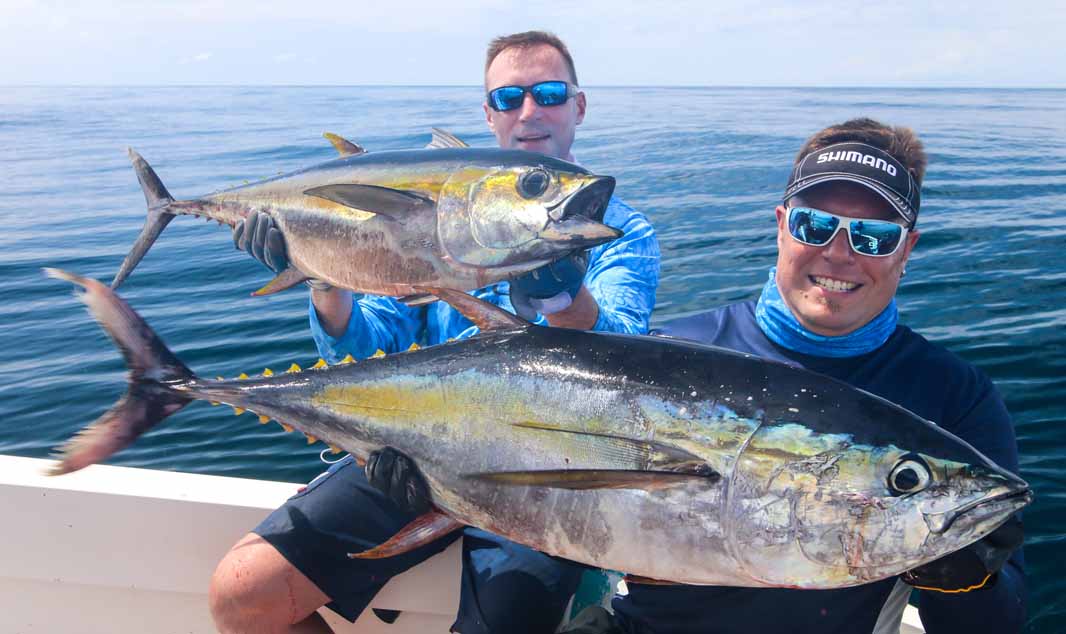tuna panama