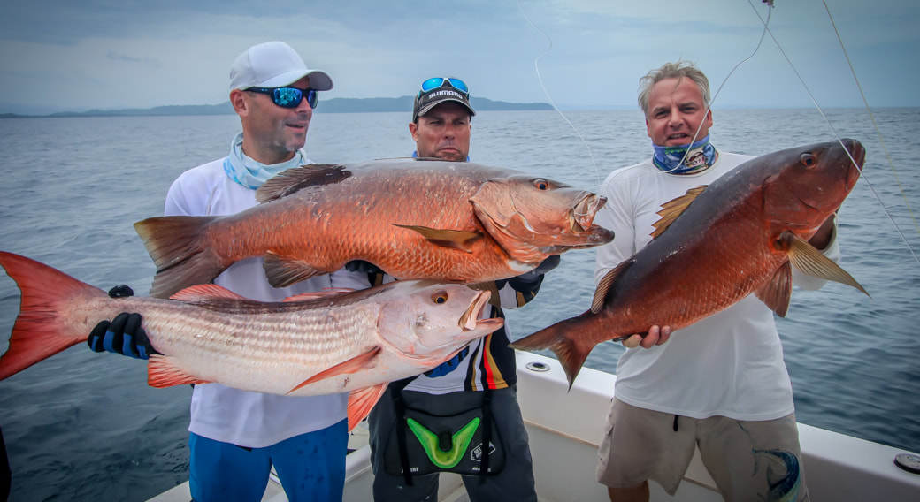when is the best fishing season in panama
