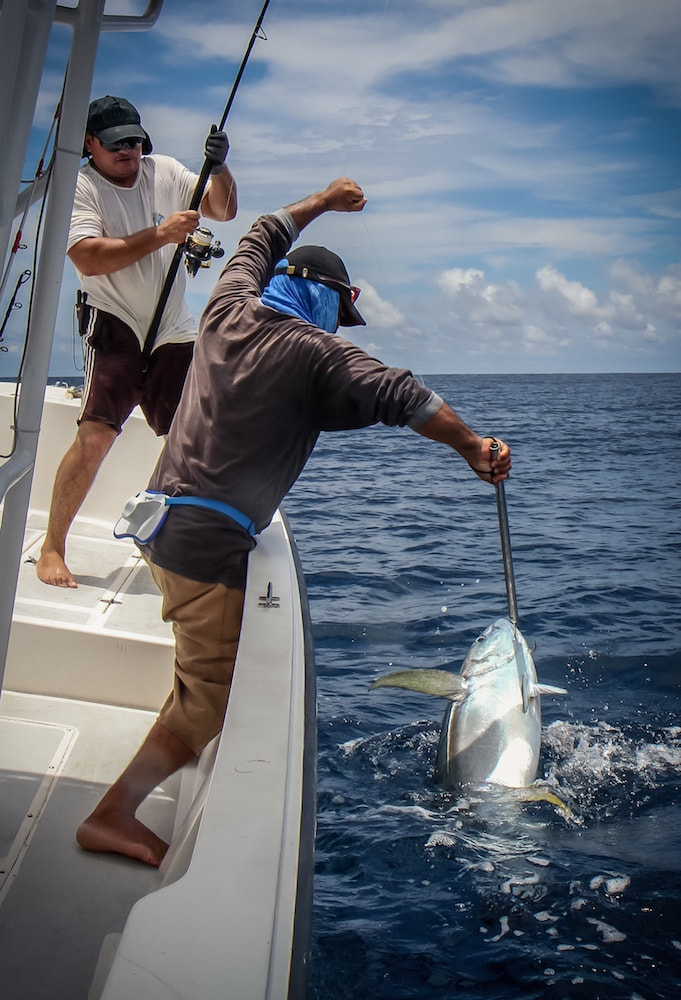 best month to fish Panama